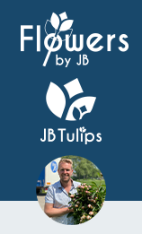 Flowers by JB / JB Tulips